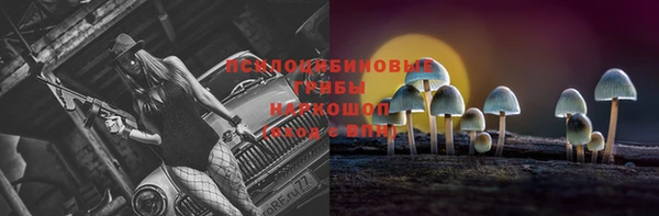 МДПВ Новодвинск