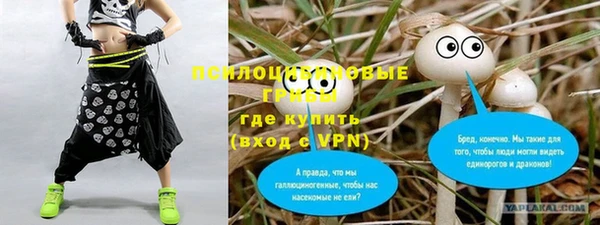 марки nbome Новозыбков