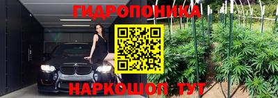 дурь Заводоуковск