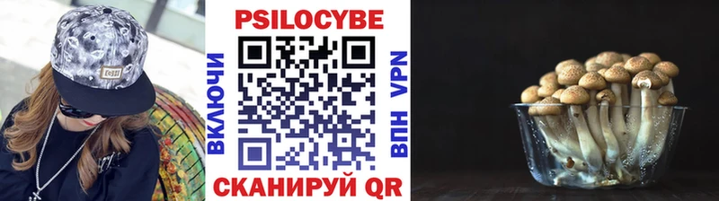 цена наркотик  Лянтор  Галлюциногенные грибы мицелий 