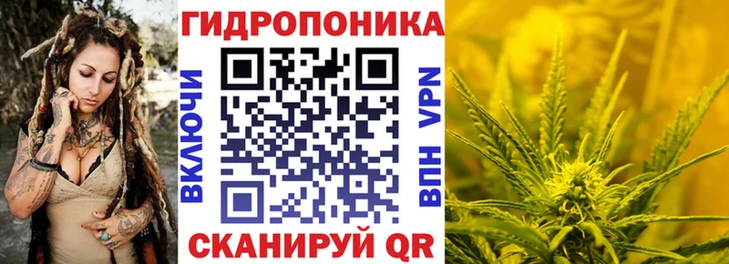 shop какой сайт Лянтор Шишки марихуана конопля дарнет шоп